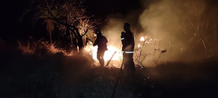 incendios en misiones incendios forestales
