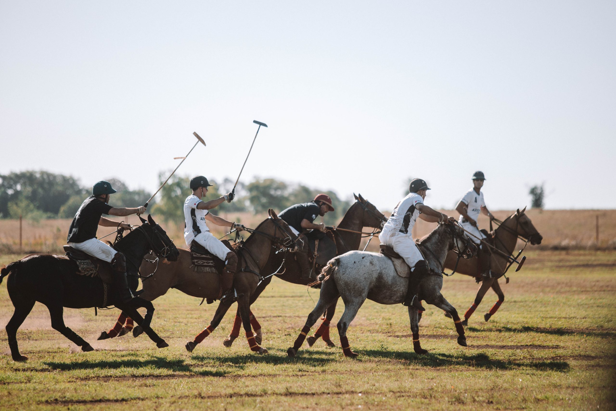 Polo en Candelaria