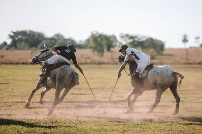 Polo en Candelaria