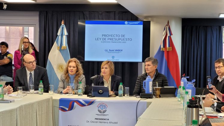 presupuesto 2025