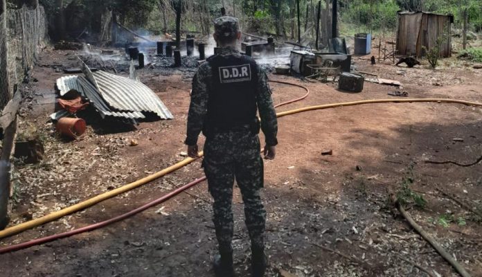 tragedia en montecarlo