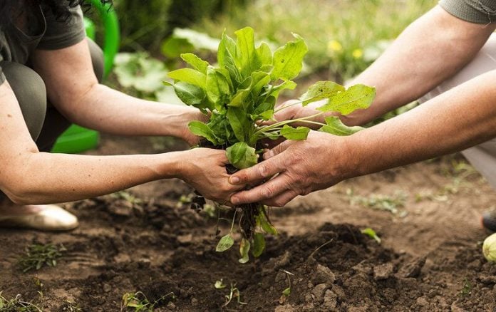 Misiones instituye septiembre como el Mes de la Agroecología