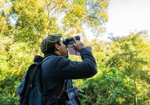 Misiones se suma a una nueva edición del Gran Día de Observación de Aves con actividades en todo el territorio