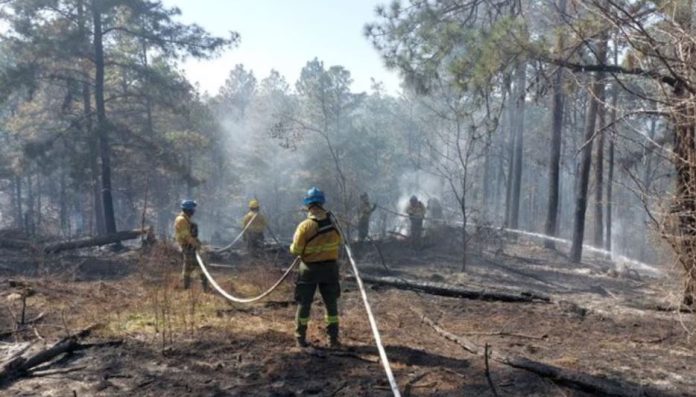 incendio en córdoba