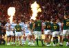 los pumas