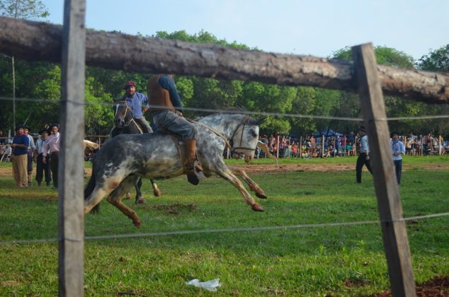 Fiesta provincial del Lech&oacute;n