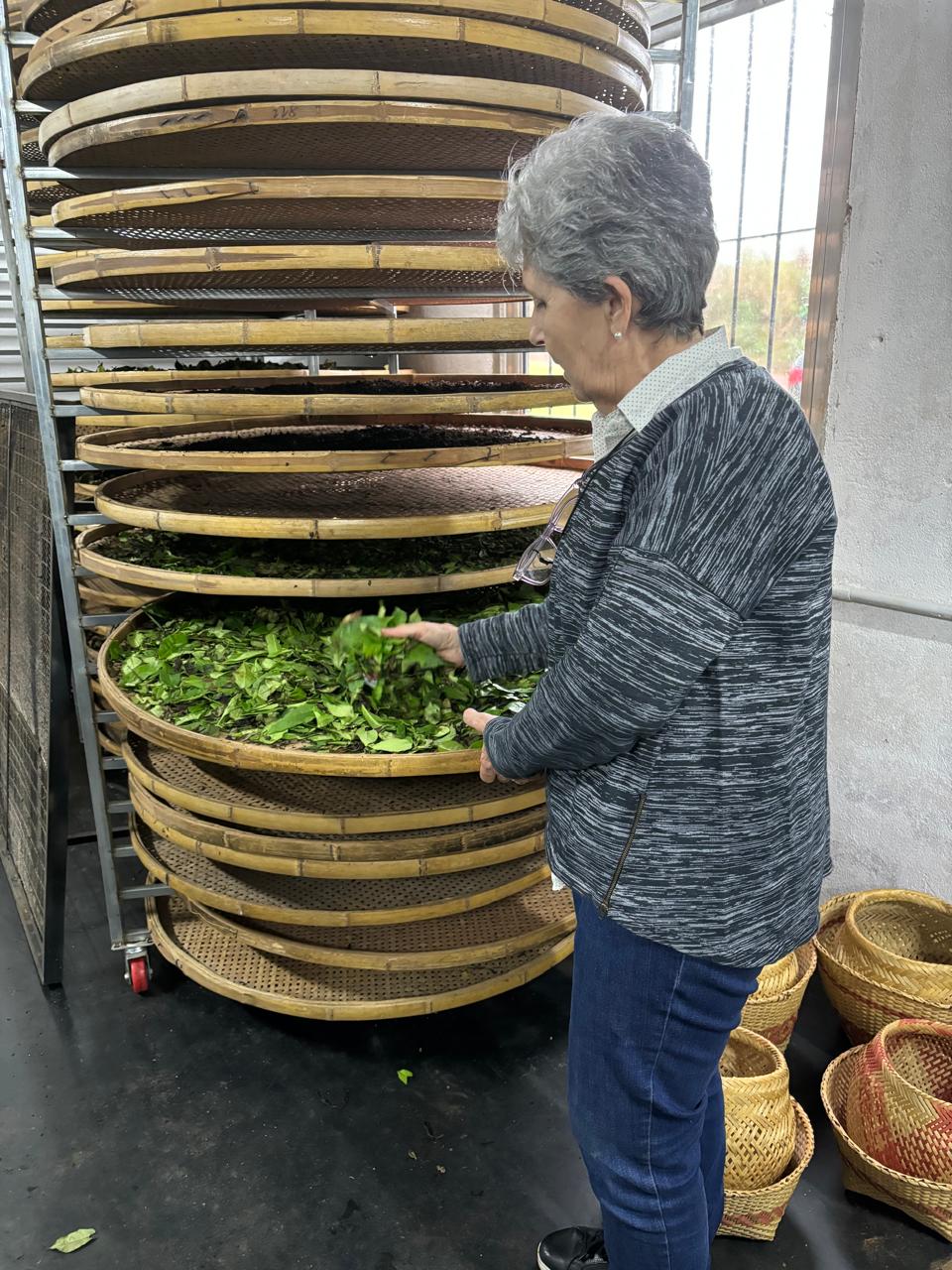 té misionero