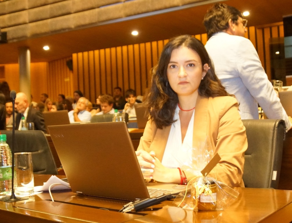 Legislatura Misionera