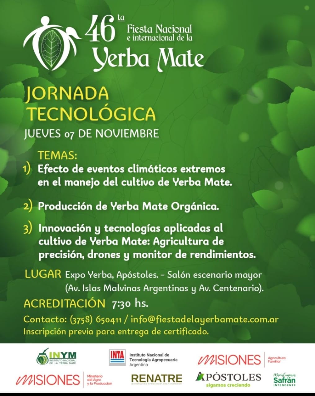 yerba mate