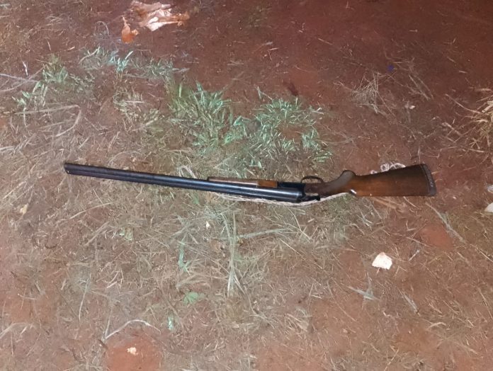 Parricidio en Misiones Detuvieron a un hombre por matar a balazos al perro de su vecino
