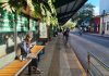 colectivos