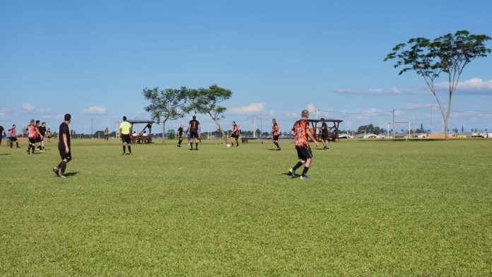 torneo interprofesional