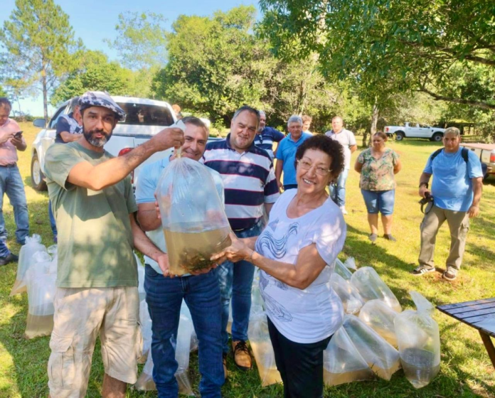 entrega de alevines