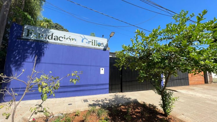 Fundaci&oacute;n Grillos