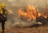 Incendios