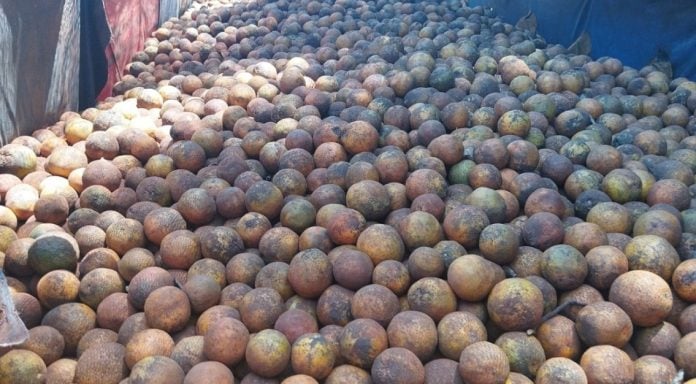 comercio de 27 toneladas de naranjas