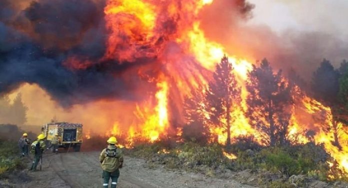 incendios en la Patagonia incendios de la Patagonia