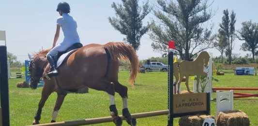 competencia de salto hípico