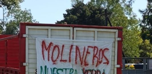 conflicto en el sector yerbatero