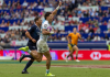 Los Pumas