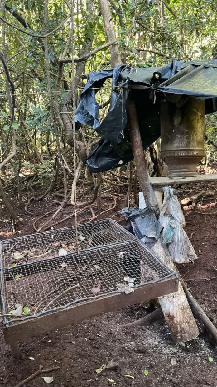 operativo de caza ilegal en Parque Provincial Piñalito