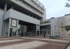 Kiczka