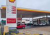 Shell y Axion