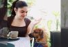locales pet friendly posadas