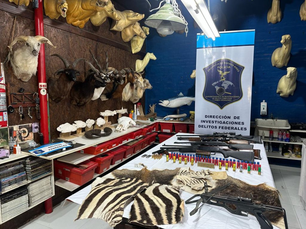 taller de taxidermia ilegal
