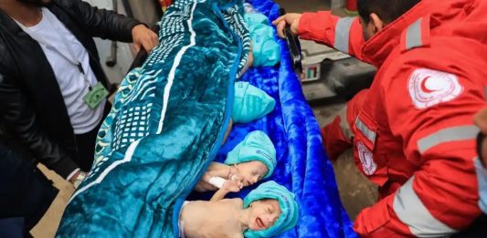 14.000 bebés están al borde de la muerte en Gaza