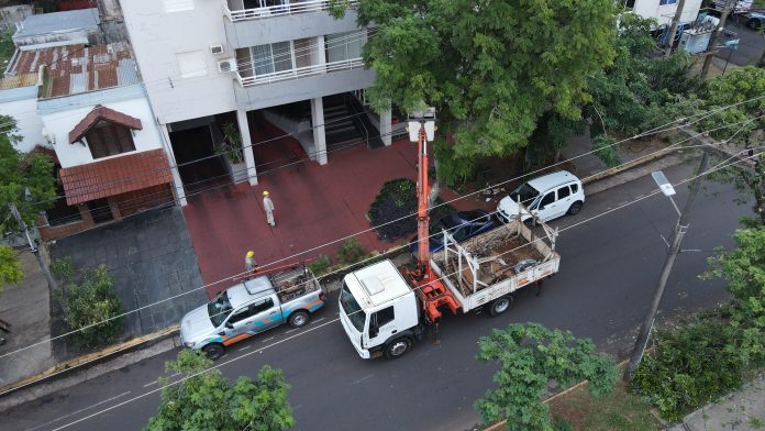 operativo de poda