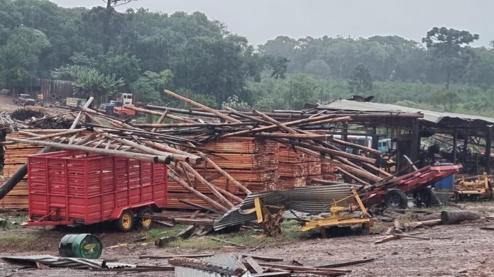 destruyo un aserradero en san pedro (1)