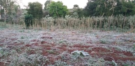heladas en Misiones