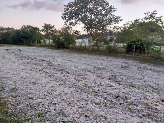 heladas en Posadas