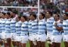los pumas