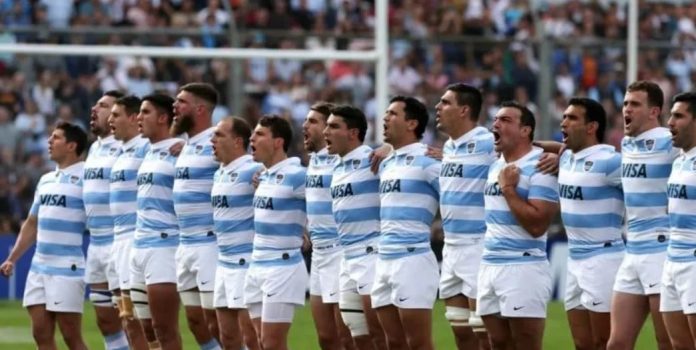 los pumas
