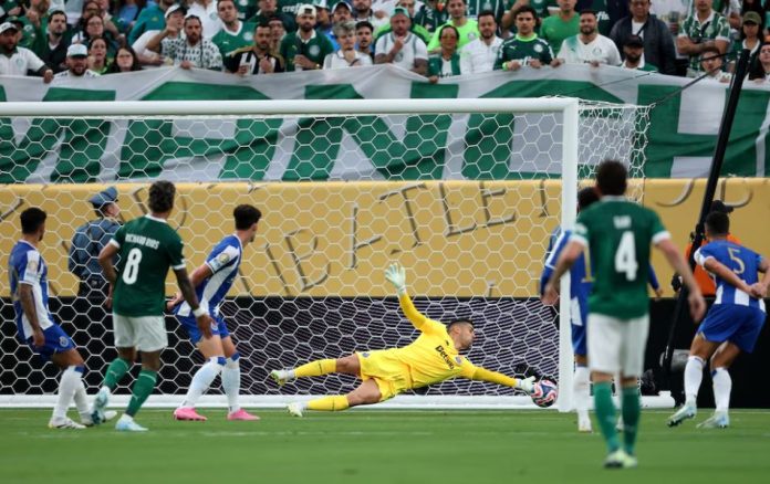 palmeiras