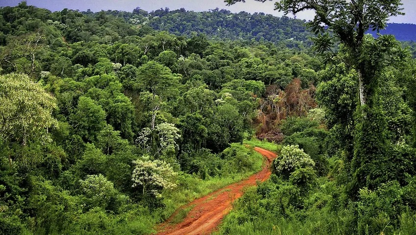 Ruta Belgraniana en Misiones