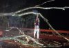 Defensa Civil asiste a afectados por la tormenta