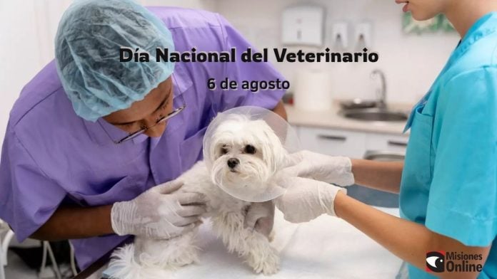 Día del Veterinario Día del Veterinario