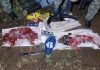 Refuerzan operativos rurales en el norte de Misiones: tres detenidos por abigeato y caza furtiva