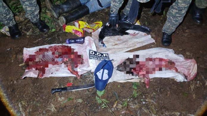 Refuerzan operativos rurales en el norte de Misiones: tres detenidos por abigeato y caza furtiva