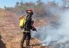 capacitación clave para prevenir y actuar ante incendios forestales