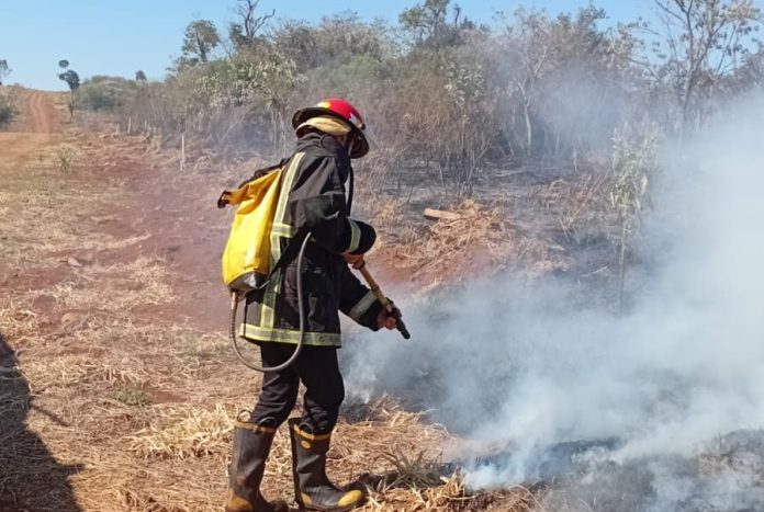foco de incendio capacitación clave para prevenir y actuar ante incendios forestales