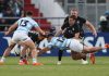 los pumas