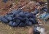 cuerpo descuartizado dentro de bolsas de basura