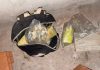 narcodealers