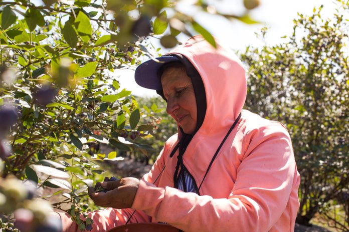 pago por desempleo rural