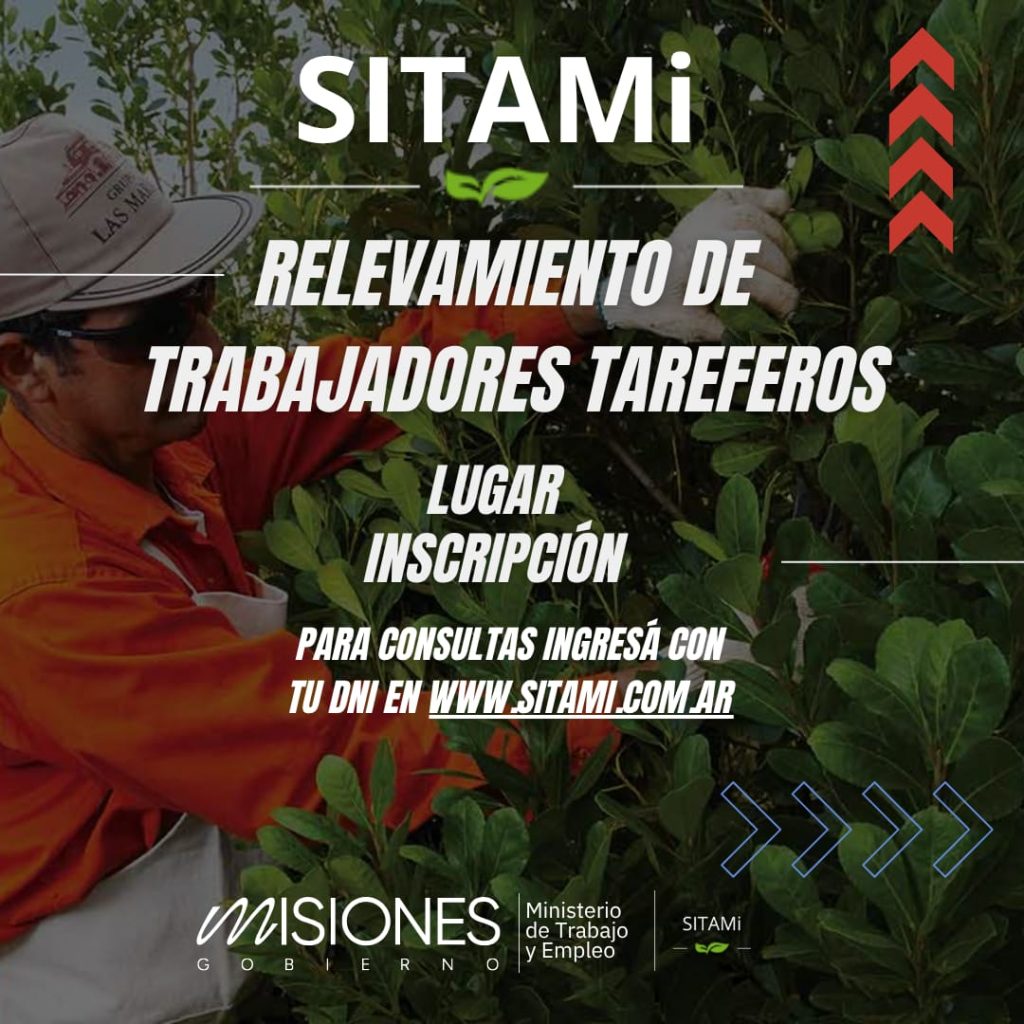 Comienza en Misiones el relevamiento anual a tareferos