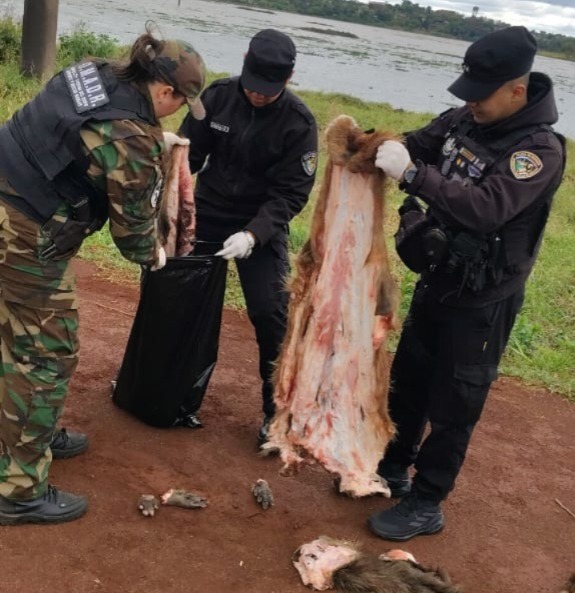 carpinchos faenados 3 policiaa